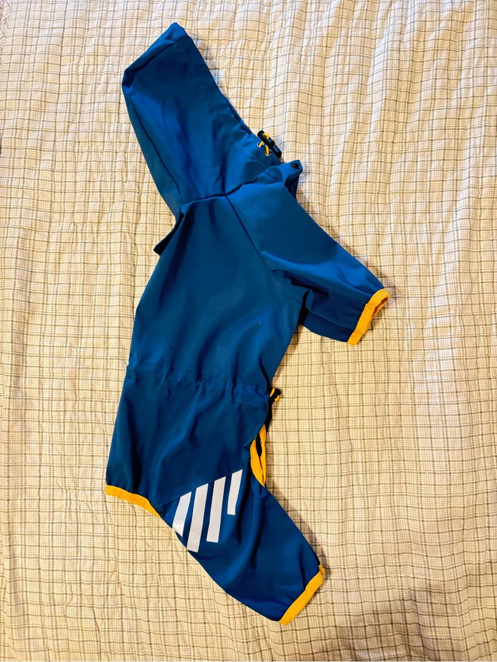 Blue Hooded Dog Raincoat with Yellow Trim